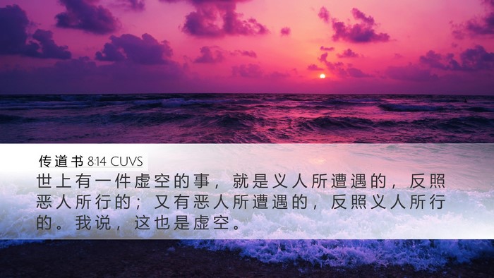 传 道 书 8:14 CUVS Bible Verse Image