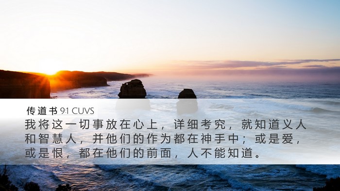 传 道 书 9:1 CUVS Bible Verse Image