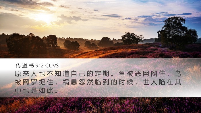 传 道 书 9:12 CUVS Bible Verse Image