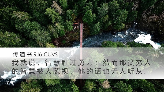 传 道 书 9:16 CUVS Bible Verse Image