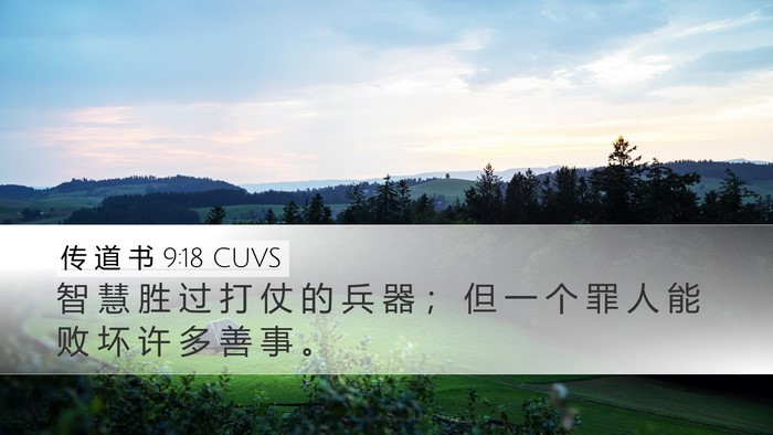 传 道 书 9:18 CUVS Bible Verse Image