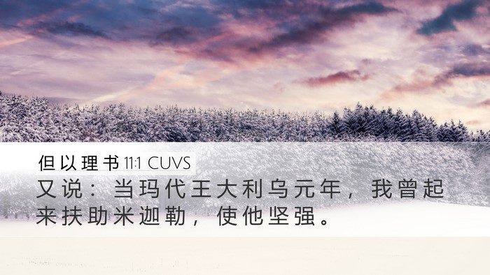 但 以 理 书 11:1 CUVS Desktop Wallpaper - 又 说 ： 当 玛 代 王 大 利 乌 元 年 - Desktop Bible Verse Wallpaper
