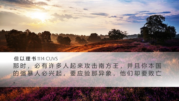 但 以 理 书 11:14 CUVS Bible Verse Image
