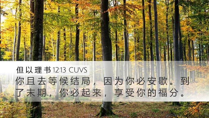但 以 理 书 12:13 CUVS Bible Verse Image