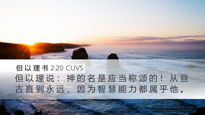 但 以 理 书 2:20 CUVS Bible Verse Image