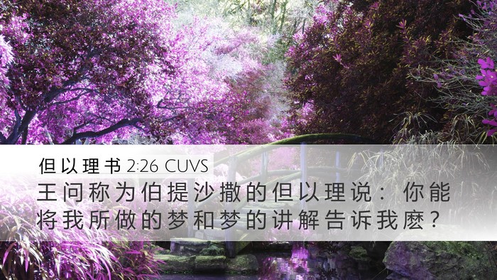 但 以 理 书 2:26 CUVS Bible Verse Image