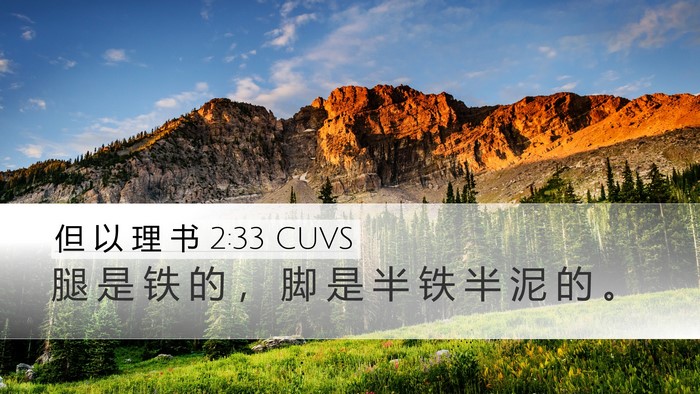 但 以 理 书 2:33 CUVS Bible Verse Image