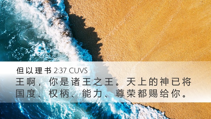 但 以 理 书 2:37 CUVS Bible Verse Image
