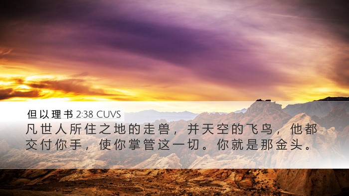但 以 理 书 2:38 CUVS Bible Verse Image