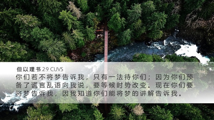 但 以 理 书 2:9 CUVS Bible Verse Image