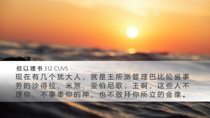 但 以 理 书 3:12 CUVS Bible Verse Image