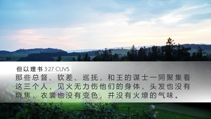 但 以 理 书 3:27 CUVS Bible Verse Image