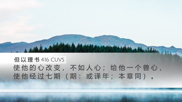 但 以 理 书 4:16 CUVS Bible Verse Image