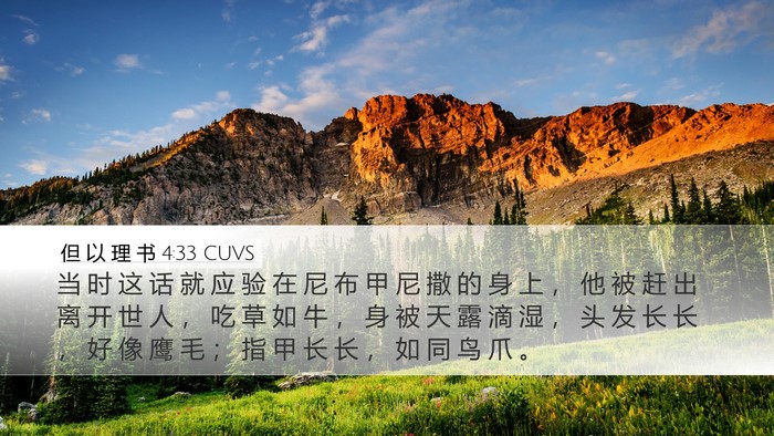 但 以 理 书 4:33 CUVS Bible Verse Image