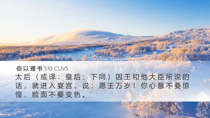 但 以 理 书 5:10 CUVS Bible Verse Image
