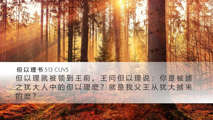 但 以 理 书 5:13 CUVS Bible Verse Image