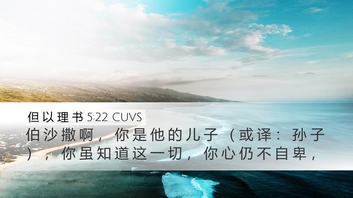 但 以 理 书 5:22 CUVS Bible Verse Image
