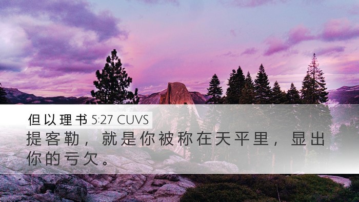 但 以 理 书 5:27 CUVS Bible Verse Image
