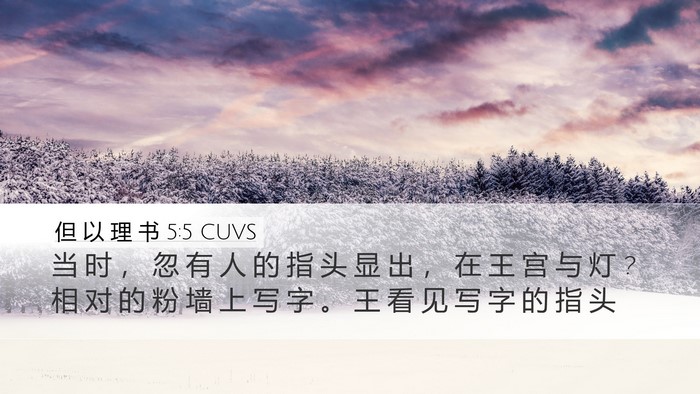 但 以 理 书 5:5 CUVS Bible Verse Image