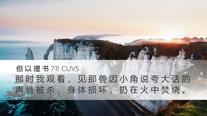 但 以 理 书 7:11 CUVS Bible Verse Image