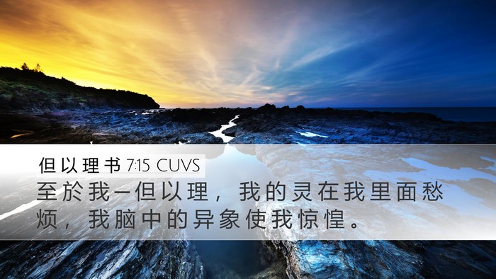 但 以 理 书 7:15 CUVS Bible Verse Image