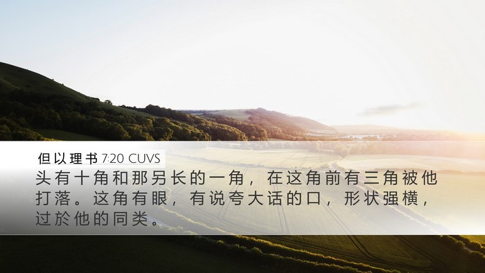但 以 理 书 7:20 CUVS Bible Verse Image