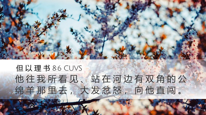 但 以 理 书 8:6 CUVS Desktop Wallpaper - 他 往 我 所 看 见 、 站 在 河 边 有 - Desktop Bible Verse Wallpaper