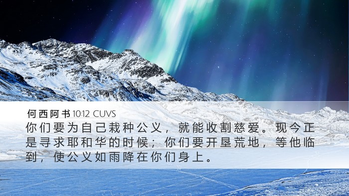 何 西 阿 书 10:12 CUVS Bible Verse Image