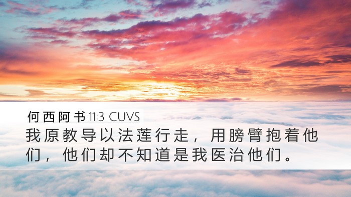 何 西 阿 书 11:3 CUVS Desktop Wallpaper - 我 原 教 导 以 法 莲 行 走 ， 用 膀 - Desktop Bible Verse Wallpaper