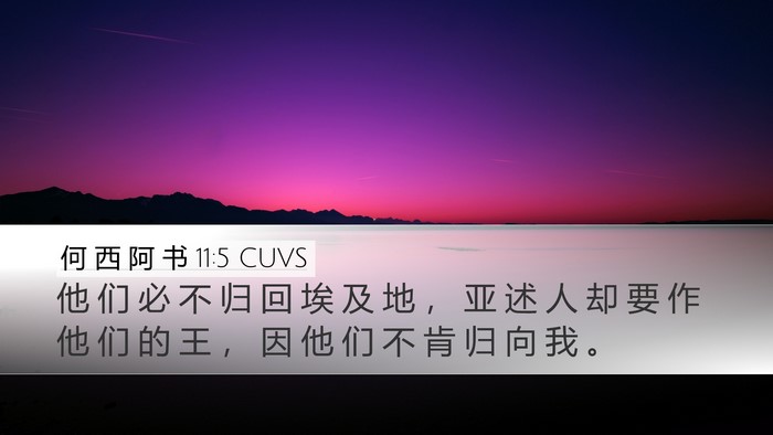 何 西 阿 书 11:5 CUVS Bible Verse Image