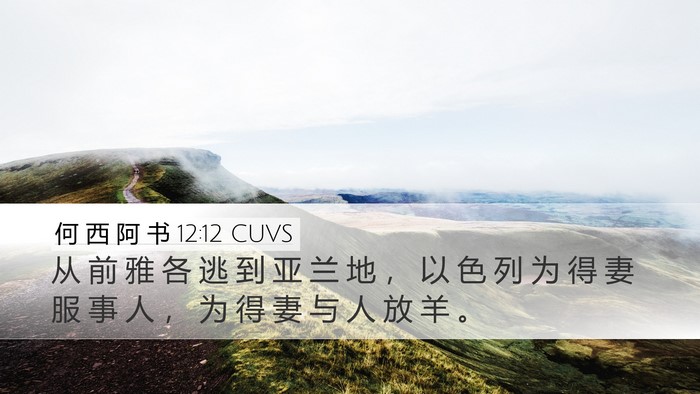 何 西 阿 书 12:12 CUVS Bible Verse Image