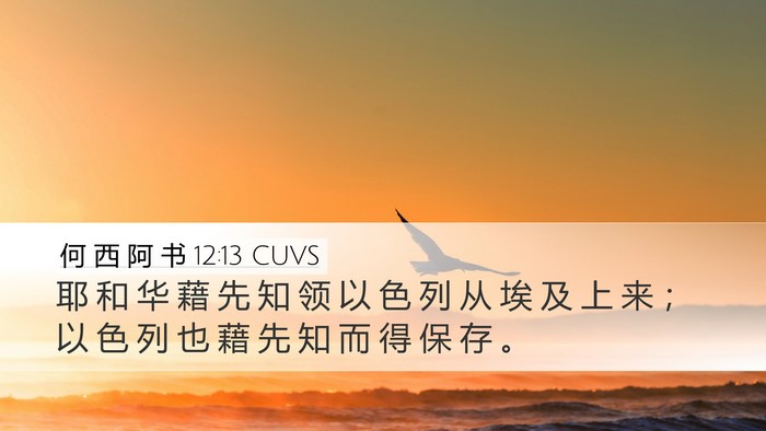 何 西 阿 书 12:13 CUVS Bible Verse Image