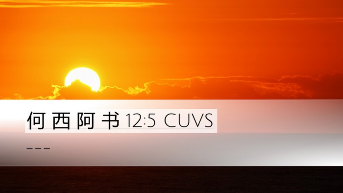 何 西 阿 书 12:5 CUVS Bible Verse Image