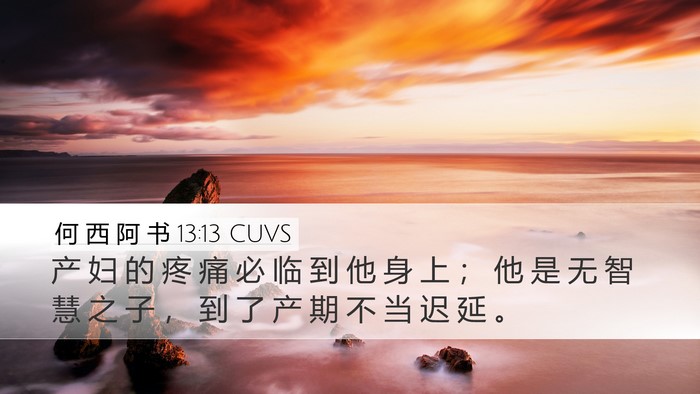何 西 阿 书 13:13 CUVS Bible Verse Image