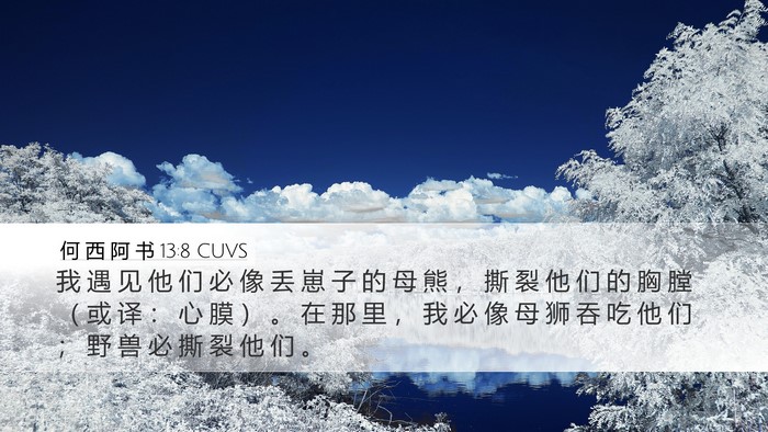 何 西 阿 书 13:8 CUVS Bible Verse Image