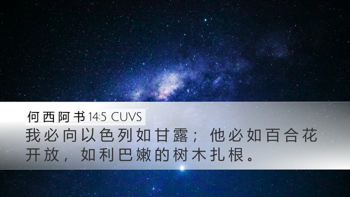 何 西 阿 书 14:5 CUVS Bible Verse Image