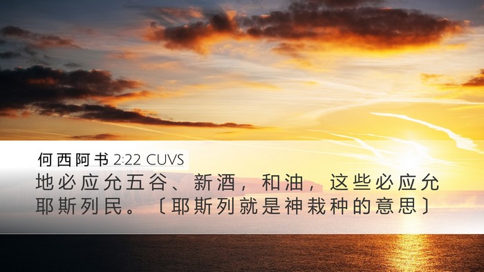 何 西 阿 书 2:22 CUVS Bible Verse Image