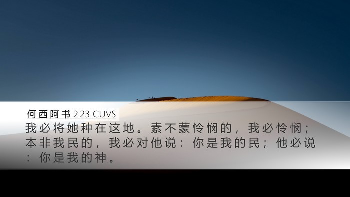 何 西 阿 书 2:23 CUVS Bible Verse Image