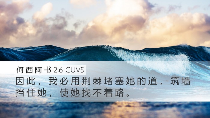 何 西 阿 书 2:6 CUVS Bible Verse Image