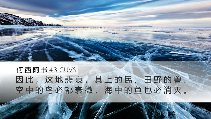 何 西 阿 书 4:3 CUVS Bible Verse Image
