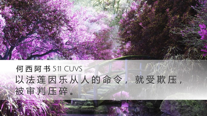 何 西 阿 书 5:11 CUVS Bible Verse Image