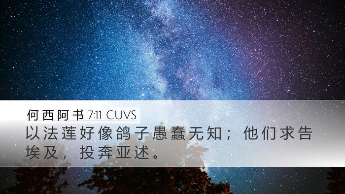 何 西 阿 书 7:11 CUVS Bible Verse Image