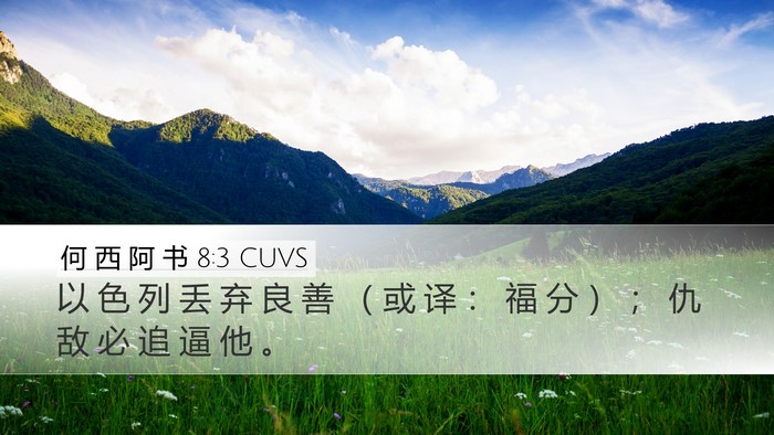 何 西 阿 书 8:3 CUVS Desktop Wallpaper - 以 色 列 丢 弃 良 善 （ 或 译 ： 福 - Desktop Bible Verse Wallpaper