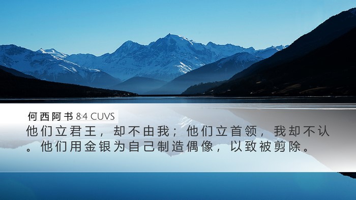 何 西 阿 书 8:4 CUVS Bible Verse Image