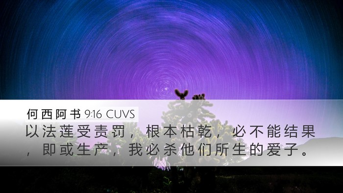 何 西 阿 书 9:16 CUVS Bible Verse Image