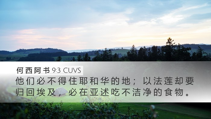 何 西 阿 书 9:3 CUVS Bible Verse Image