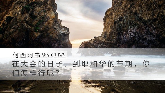 何 西 阿 书 9:5 CUVS Desktop Wallpaper - 在 大 会 的 日 子 ， 到 耶 和 华 的 - Desktop Bible Verse Wallpaper