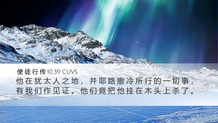 使 徒 行 传 10:39 CUVS Bible Verse Image