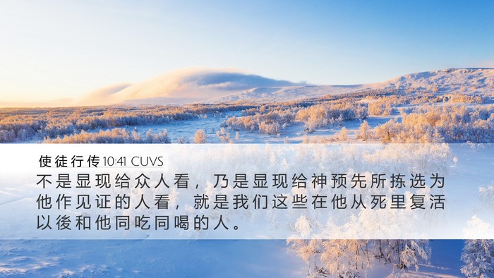 使 徒 行 传 10:41 CUVS Bible Verse Image