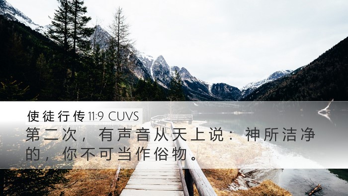使 徒 行 传 11:9 CUVS Bible Verse Image